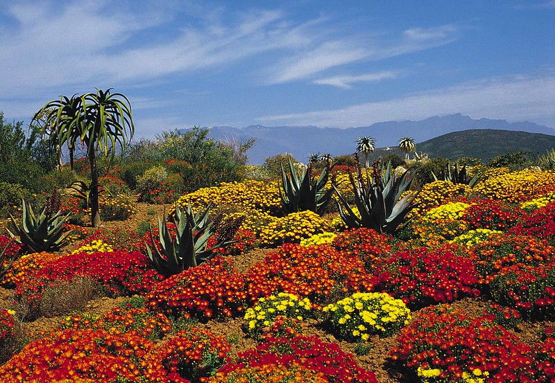 Karoo Gardens South Africa